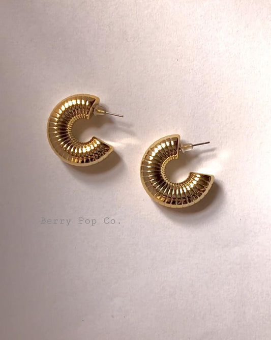 Trendy Spiral Hoops