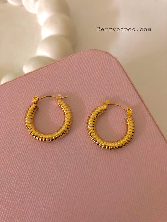 Stainless Steel Gold Plated Hoop Earrings - Berry Pop Co