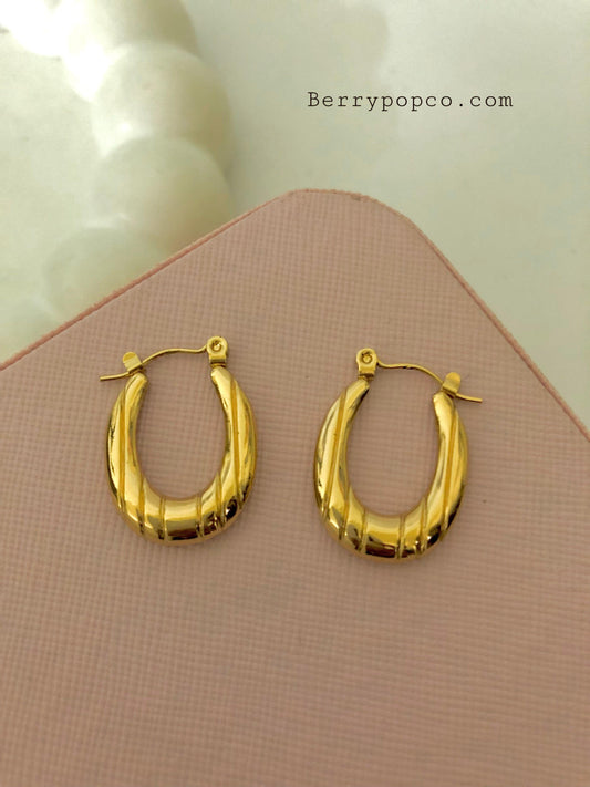 Stainless Steel Gold Plated Hoop Earrings - Berry Pop Co