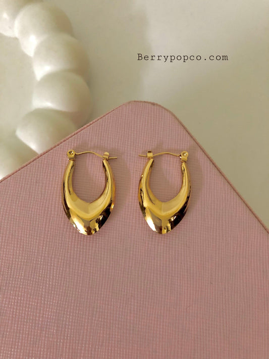 Stainless Steel Gold Plated Hoop Earrings - Berry Pop Co