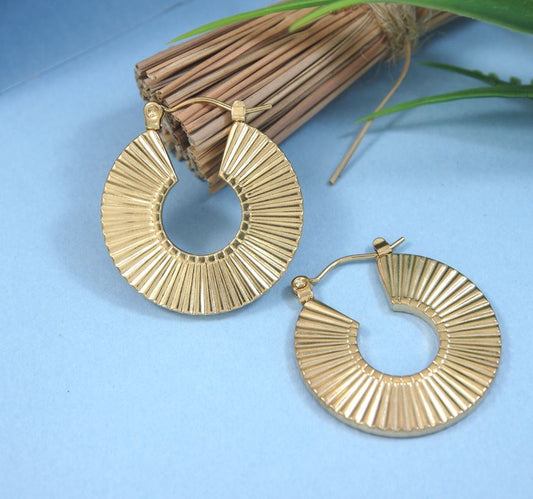 Elegant Hoop Earrings