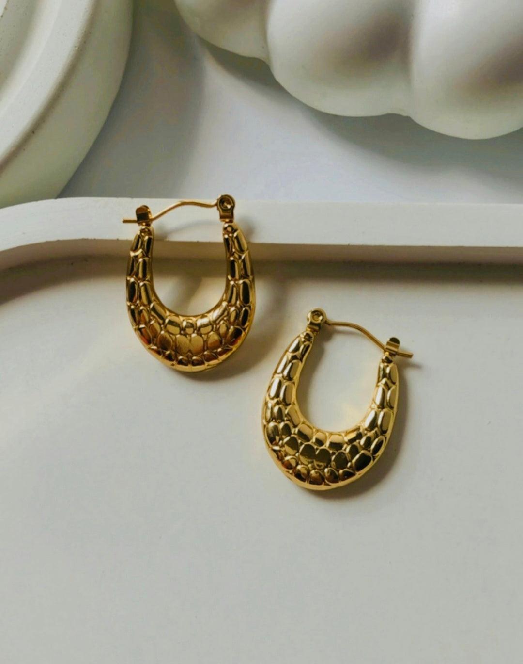 Daily Wear Tarnish-Free Earrings - Berry Pop Co